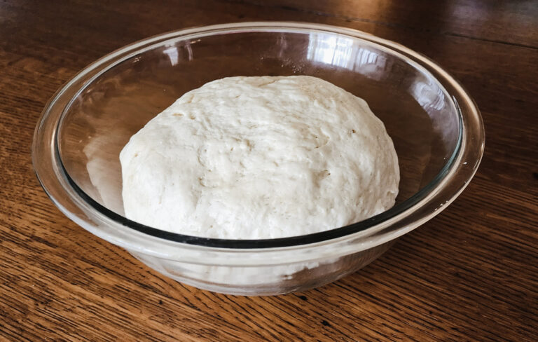 Bulk fermented naan bread dough