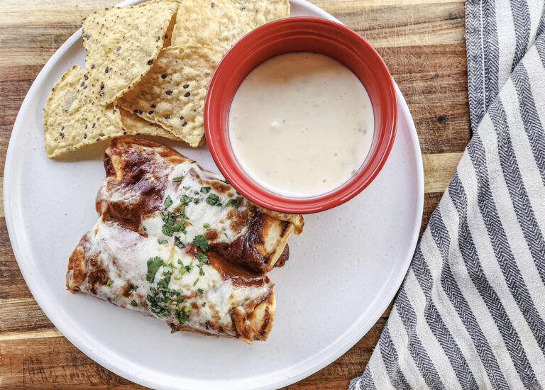 Chicken Enchiladas and Cheese Dip