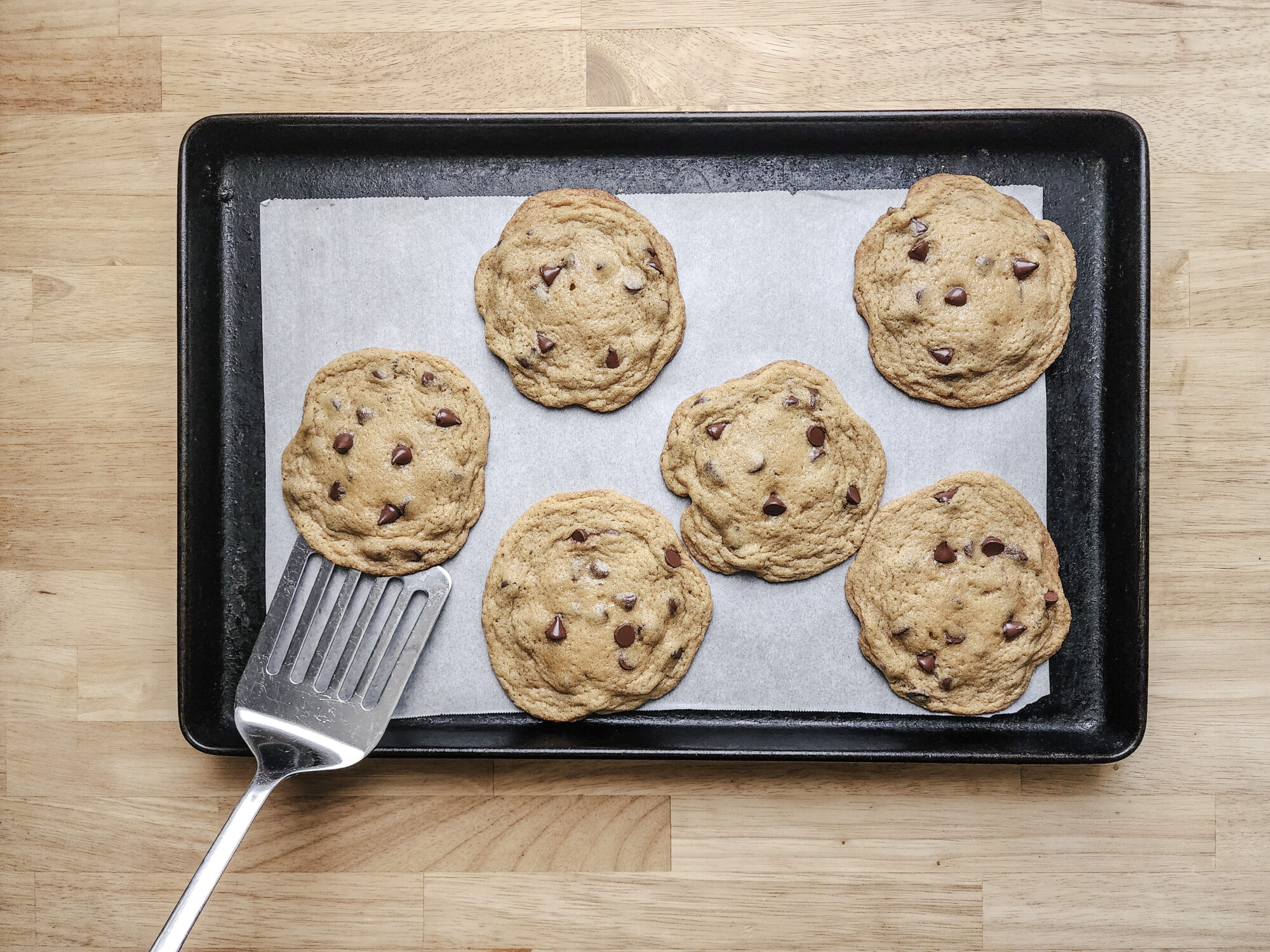 Chocolate Chip Cookies Fresh out of the oven