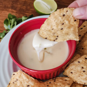 Restaurant Style Cheese Dip