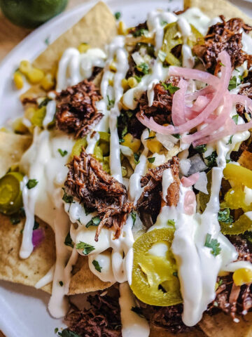 Birria Nachos